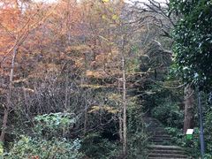 -西湖风景区-江洋畈生态公园