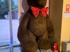 -济州岛泰迪熊博物馆