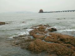 android_upload_pic-栈桥景区