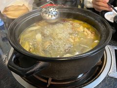 -蘑统田下·野生菌火锅