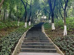 -龙头寺公园