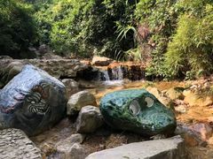 -南海湾森林生态园
