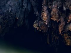 -怀托摩萤火虫洞