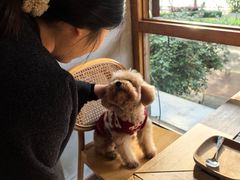 -时光花园(白鹭洲店)