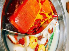 鸳鸯八卦锅-大龙燚火锅(长寿路店)