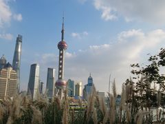 -北外滩滨江绿地