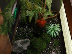 -印巷里主题餐厅(马鞍山店)