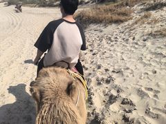 -库伦旗银沙湾旅游景区