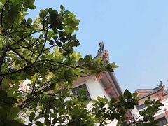 -广东花都湖国家湿地公园