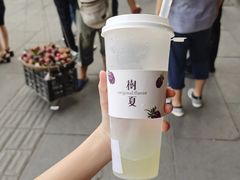 -树夏(锦里店)