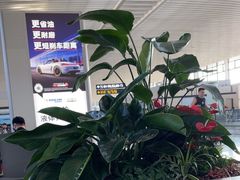 -青岛胶东国际机场