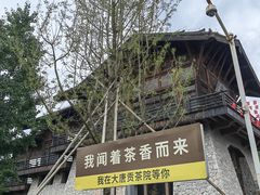 -大唐贡茶院