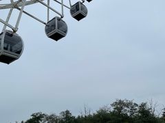 -日照海滨国家森林公园