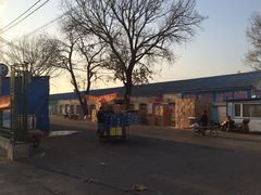 -沈阳市八家子水果批发市场