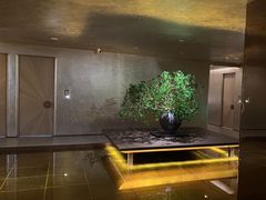-隐溪茶馆(静安寺店)