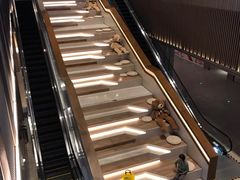 -佬肥猫(国华广场店)