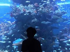 -多彩贵州城极地海洋世界