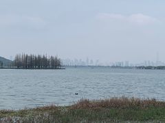 -东湖落雁景区