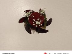 扇贝-The Georg(东华门店)
