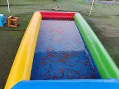 -小鱼草莓采摘园农家乐·小鱼餐厅