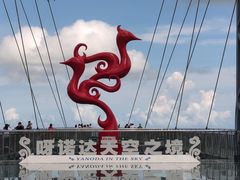 -呀诺达热带雨林