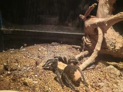 -济南野生动物世界