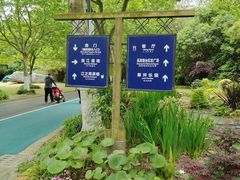 -上海滨江森林公园