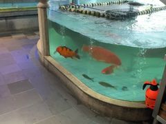 -紫腾大院·南京菜(江宁店)
