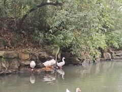 -兰亭风景区