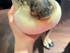 -肆月河豚·淮扬菜·湘菜(华天店)