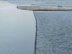 -滆湖低碳生态公园