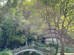 -深圳国际园林花卉博览园