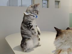 -怪兽屋·羊驼·猫咖·狗咖(俊华广场店)