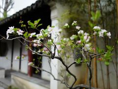 -拙政园