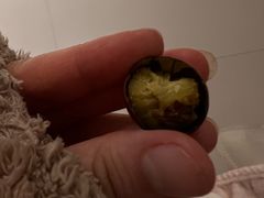 -杨记板栗(天虹总店)