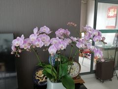 -大家食府·福建菜(FAC协盛中心庭院餐厅店)