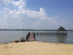 -瑶湖郊野森林公园