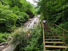 -青峰峡国家森林公园