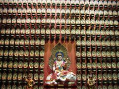 -新加坡佛牙寺龙华院