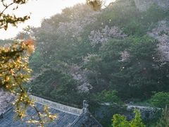 -泰山风景名胜区