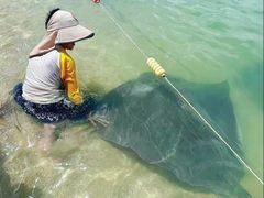 -海南分界洲岛旅游区