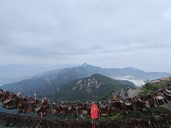 -洛阳白云山景区