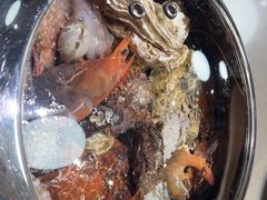 -大锅强·蒸海鲜青岛菜(吾悦广场店)