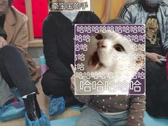 -新爱婴早教中心(红山园)