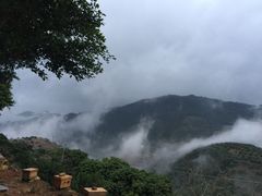 -广州市石门国家森林公园