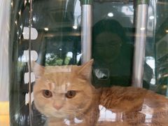 -贝康宠物医院·犬猫全科·小动物特色诊疗中心(东环路店)