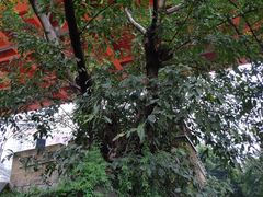 -湖广会馆-东水门及古城墙