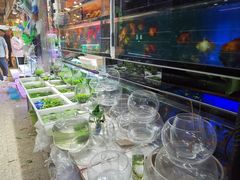 -双季花艺园艺市场(浦东店)