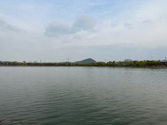-羊山湖公园