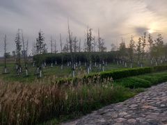 -鹦鹉洲湿地公园